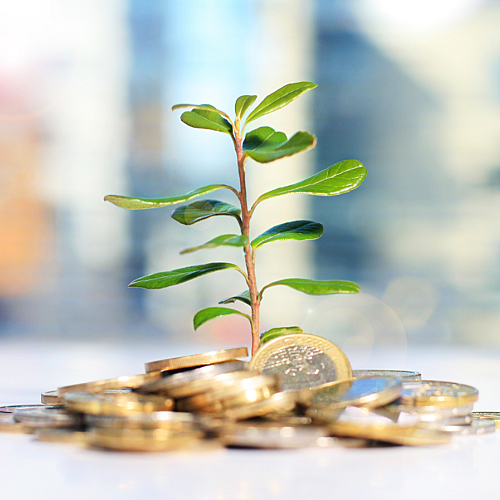 When money makes money for you